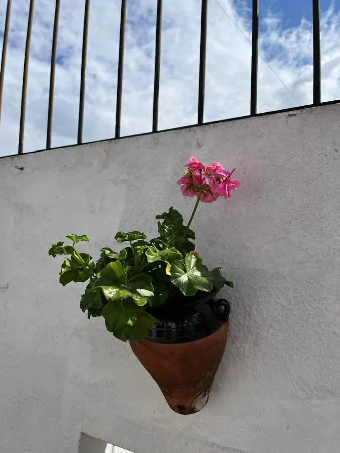 Atico Centro 17 Apartment Jerez de la Frontera 0*,